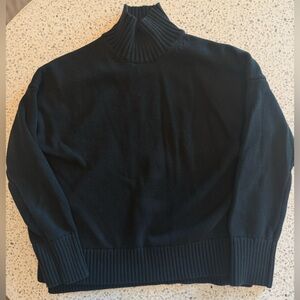 Everlane navy cotton Turtleneck Sweater